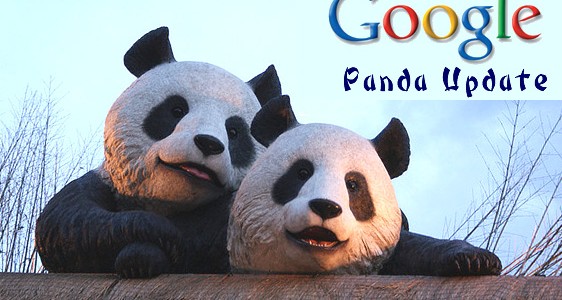 Google Panda