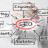 search-engine